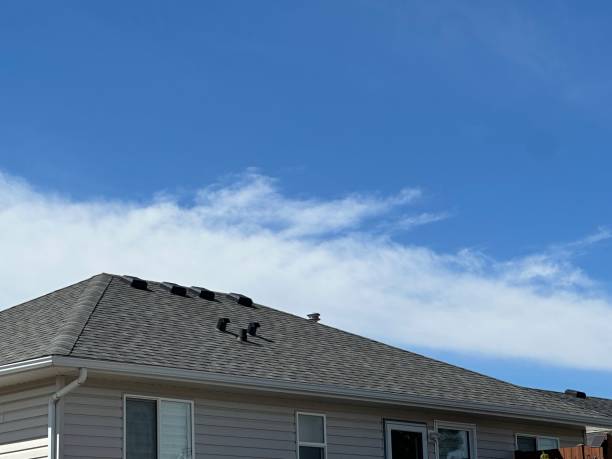 Trusted Halls, TN Roofing Services Experts